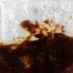 Gradient Cognac