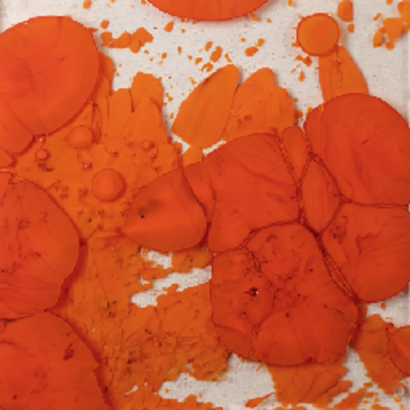 Orange Design